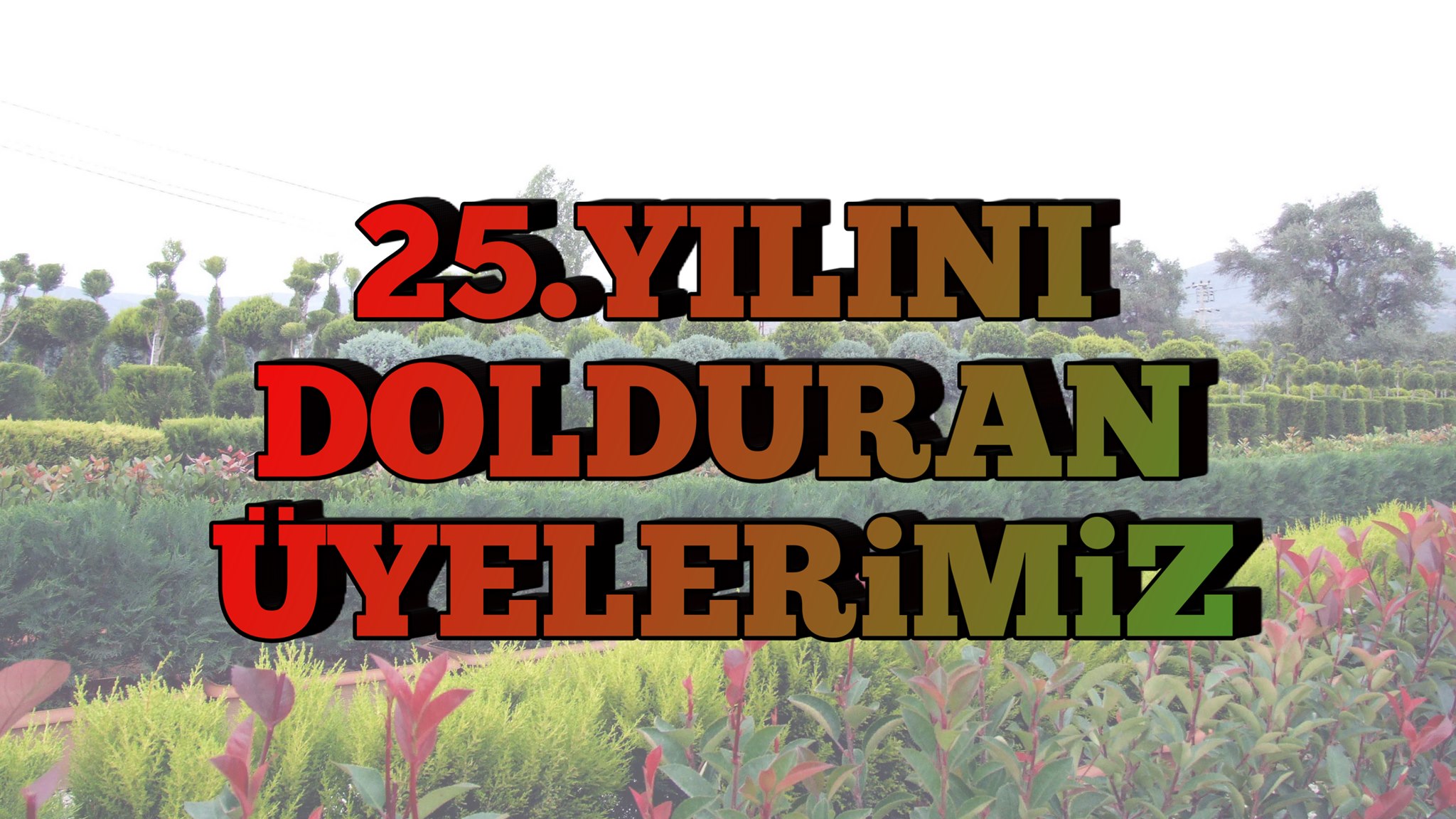 25.yil