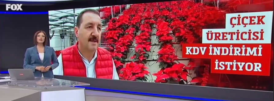 ahmetdundarfox