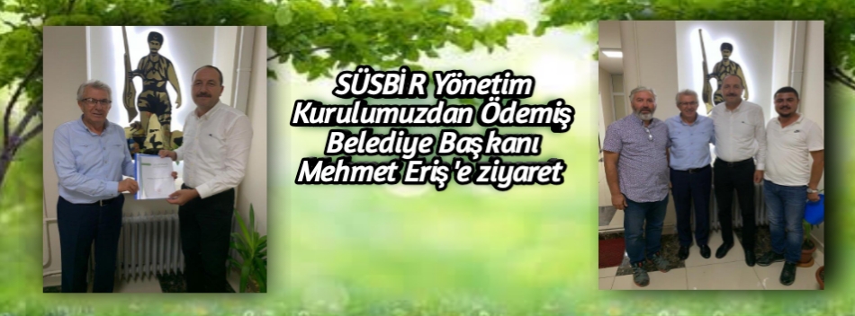 mehmeterisziyareti
