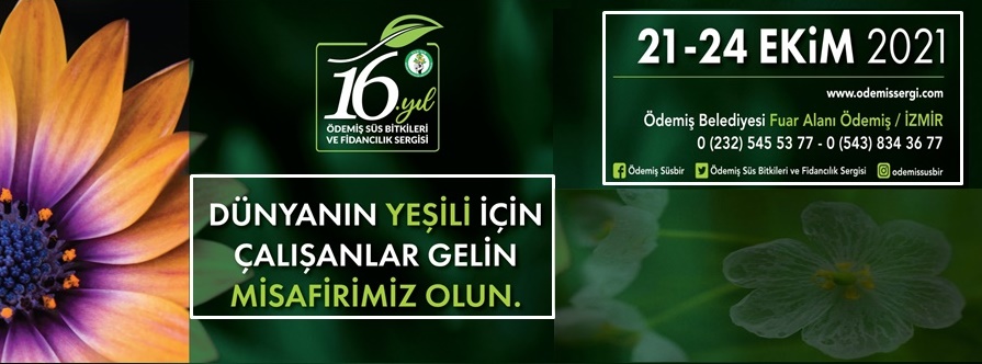 odemis