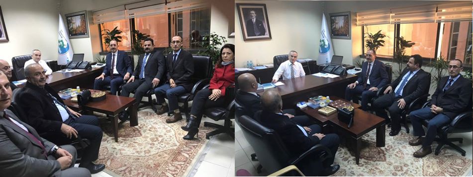 orman bak ziyareti kapak