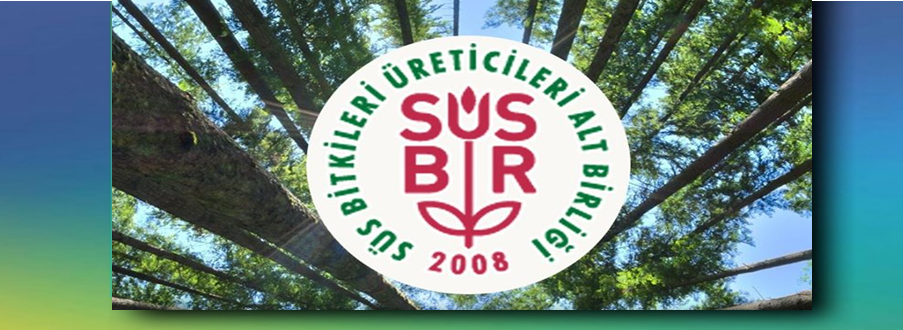 susbir01111