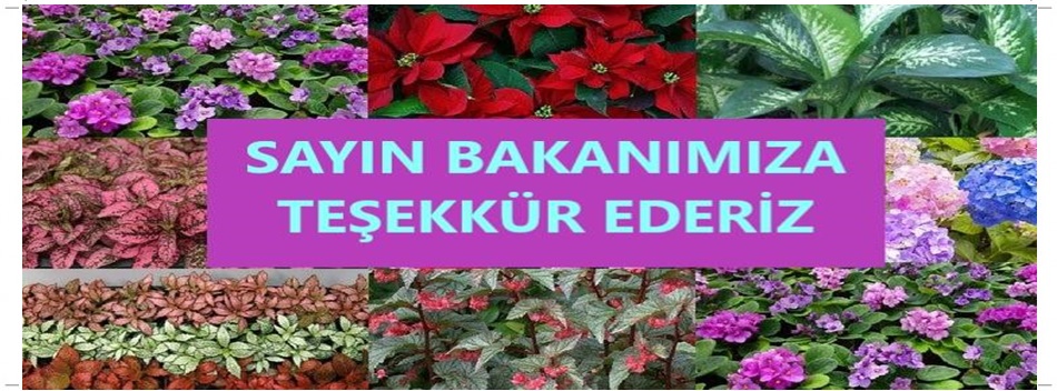 tesekkurbakan