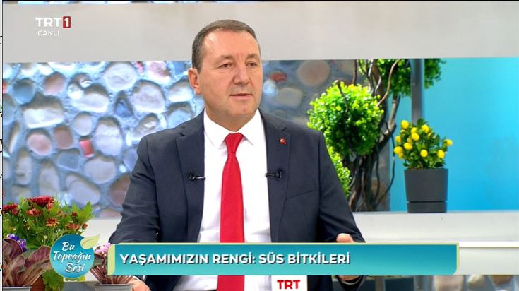 trt1 canli topragin sesi