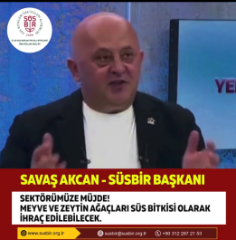 Meyve ve Zeytin ağaçlarının süs bitkisi olarak ihracatının yasağı kaldırıldı