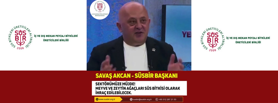 Meyve ve Zeytin ağaçlarının süs bitkisi olarak ihracatının yasağı kaldırıldı