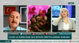 SÜSBİR Başkanı Ahmet Dündar, Bengütürk TV'de