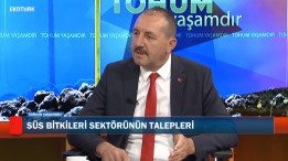 Pandemi süreci ve süs bitkileri sektörü